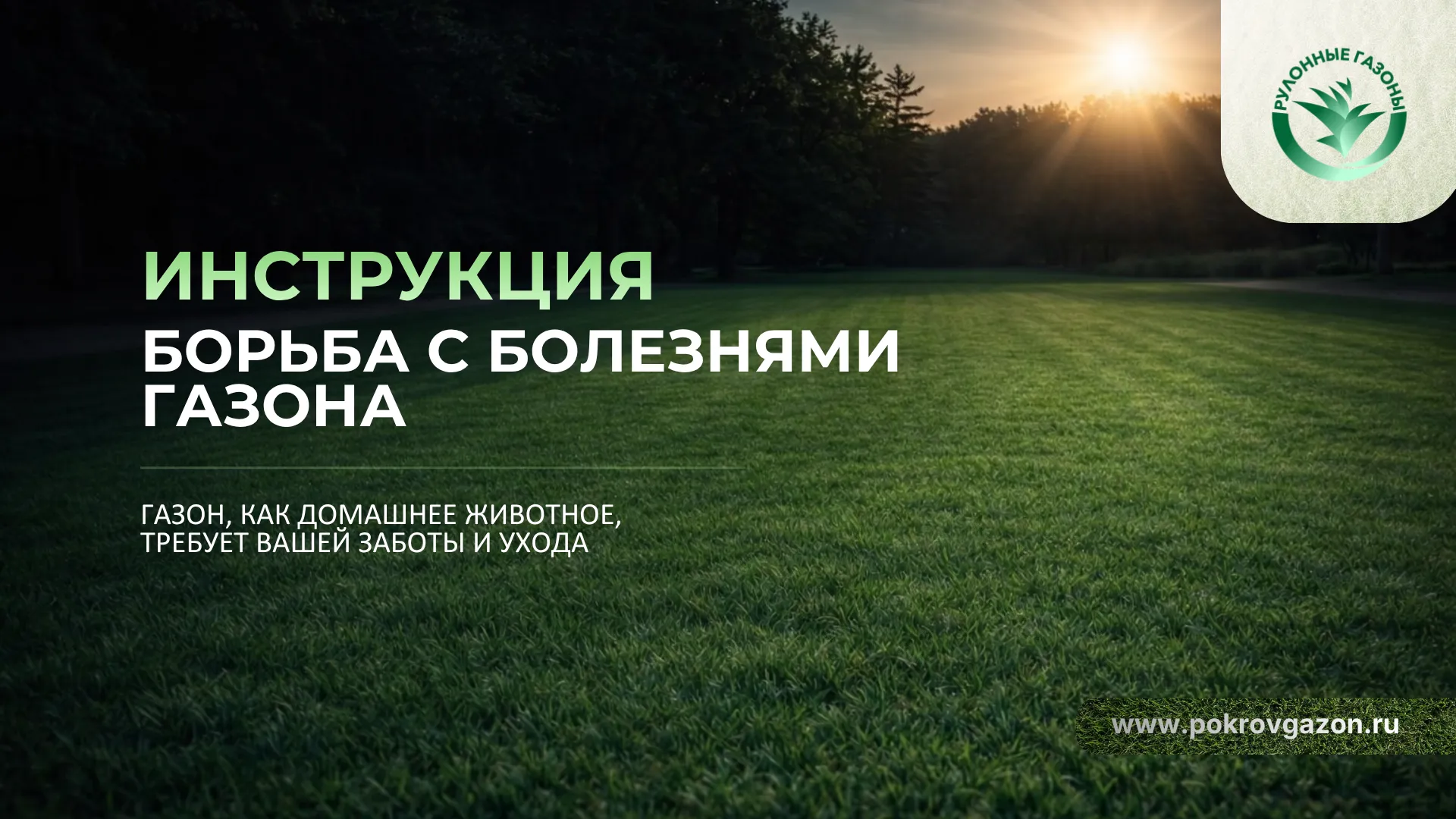 Страница 1 инструкции по болезням газона