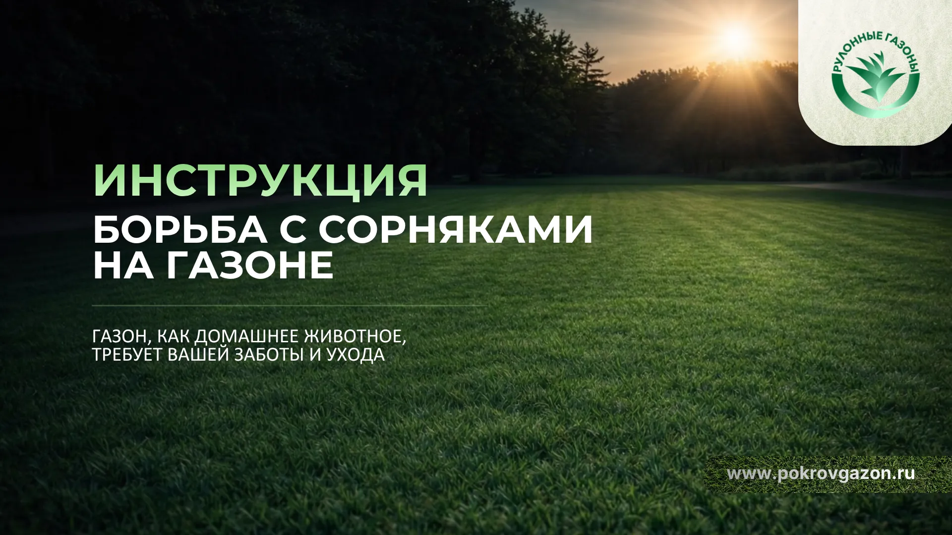 Страница 1 инструкции по борьбе с сорняками