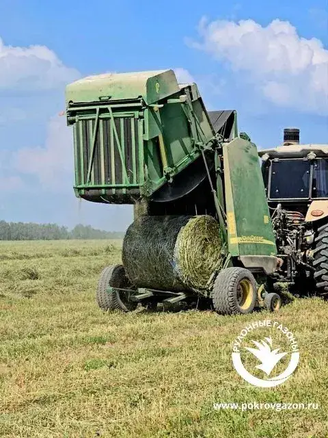 Купить сено в рулонах с доставкой. Фото 5. Продажа сена в тюках с доставкой область