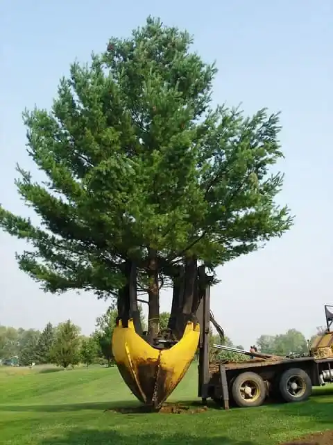 Крупномеры.