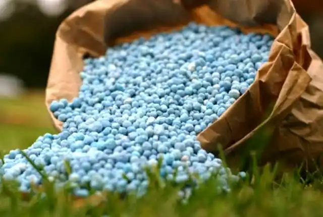 Забота о растениях весной. Внесение удобрений.