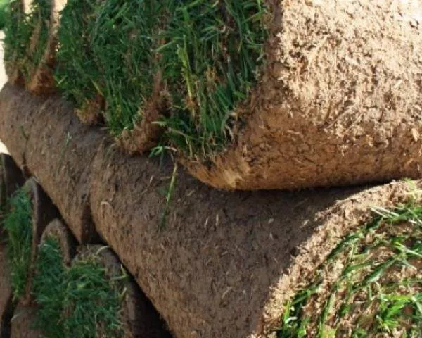 Газон на сложном рельефе