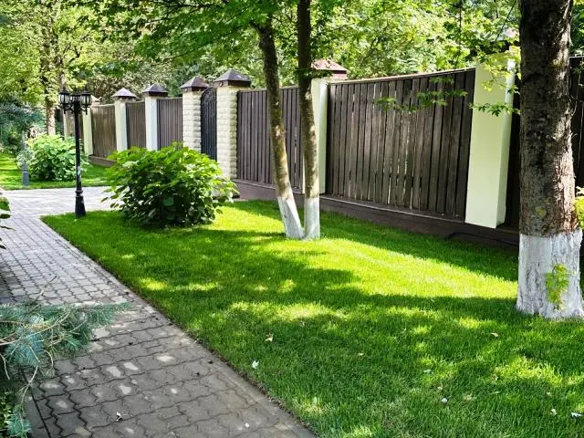 Газон, уложенный нами на участке