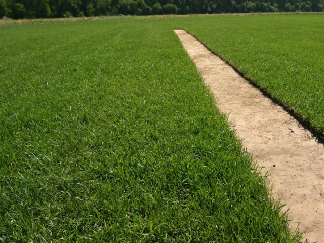 Ремонт покрова газона.