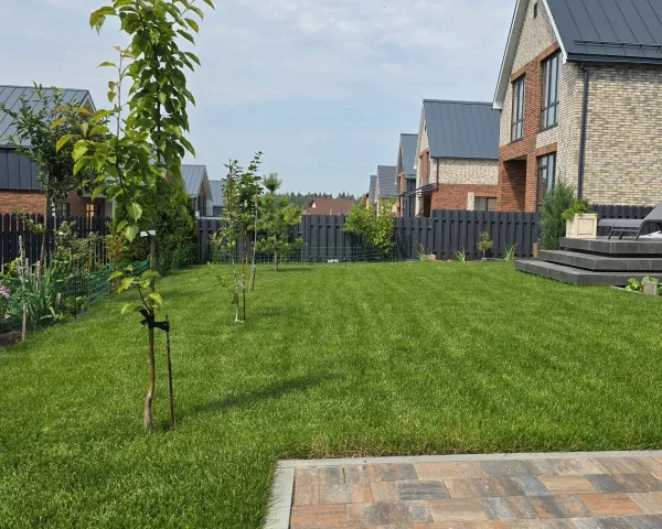 Благоустройство участка газоном