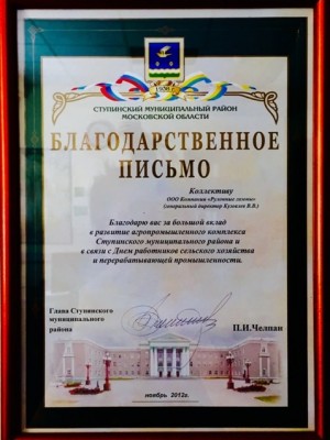 Благодарственное письмо