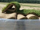 Универсальный рулонный газон