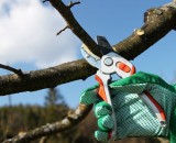 Уход за растениями весной. Обрезка деревьев.