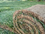 Озеленение травой в рулонах