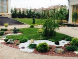 Рулонный газон