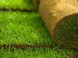 Советы по укладке рулонных газонов