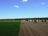 Рулонный газон на производстве