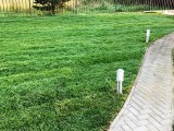 Ландшфтный дизайн в саду