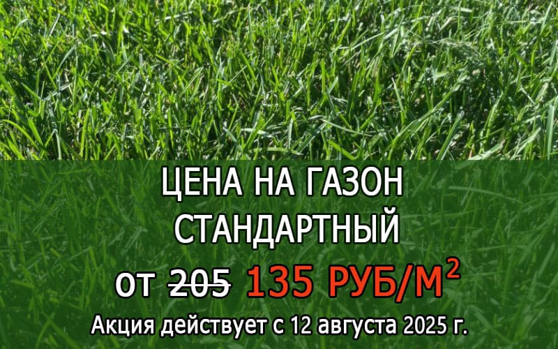 Стандартный вид газона