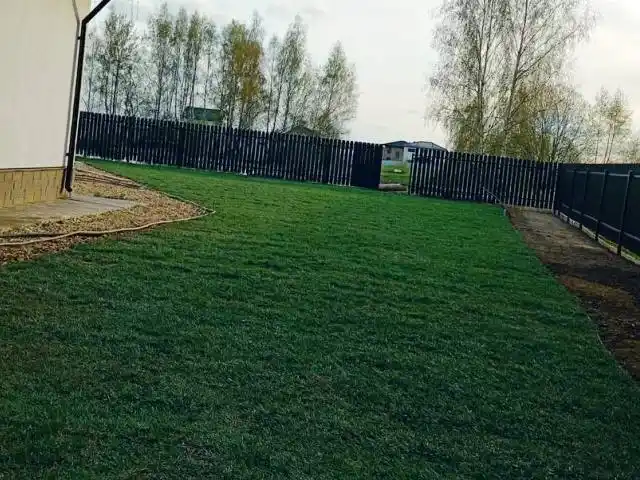 Уложенный рулонный газон на приусадебном участке