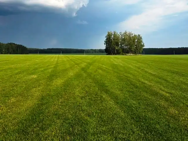 Готовое травяное покрытие для укладки