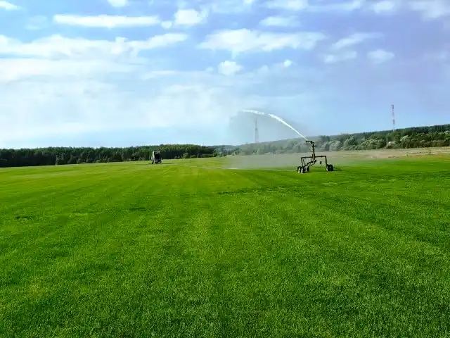 Готовая трава для укладки