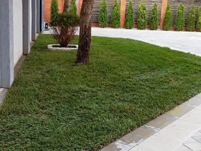 Благоустроенный придомовой участок Красота зеленой лужайки