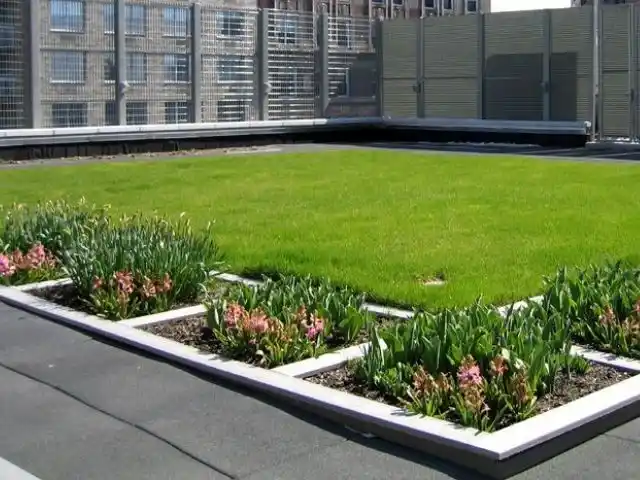 Газон на крыше Озеленение на крыше здания