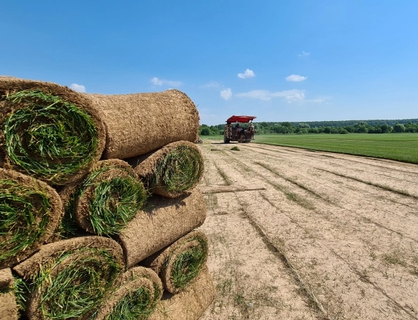 Понятие рулонного газона Газон в рулоне от производителя